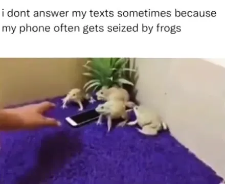 Frogs Seize the Phone
