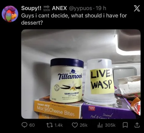 Live Wasp or Ice Cream