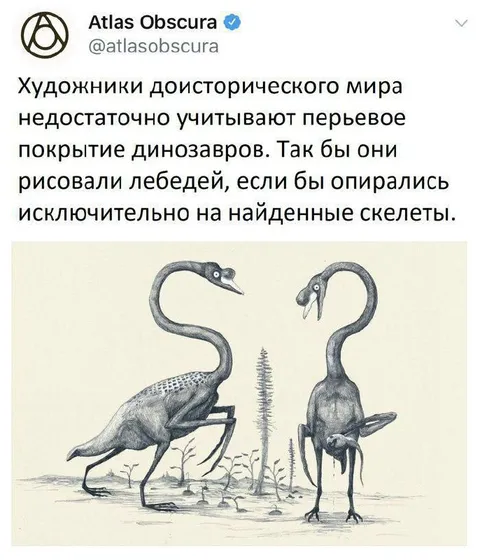 Лебеди по скелетам динозавров