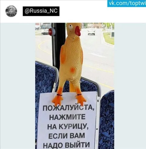 Нажмите на курицу