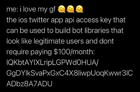 Free Twitter API Bot Access