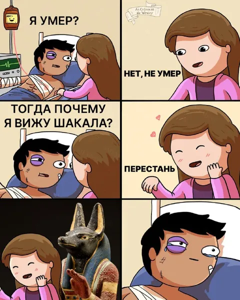 Почему я вижу шакала
