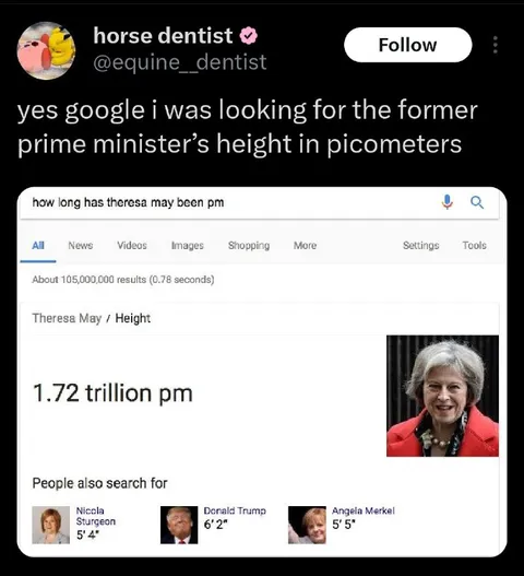 Theresa May Height in Picometers