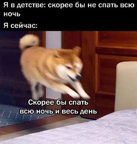 Скорее бы спать всю ночь
