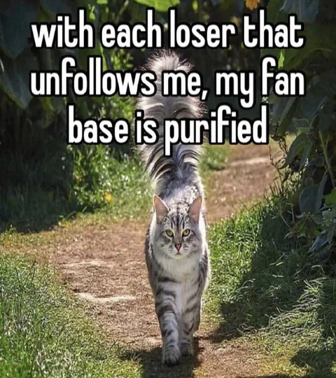 Purified Fan Base Cat