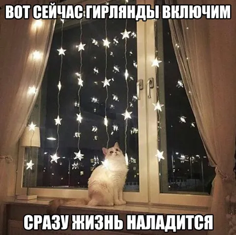 Кот и гирлянда в окне