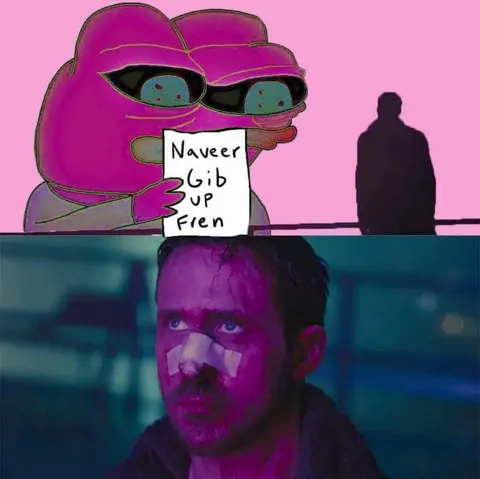 Naveer Gib Up Fren