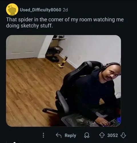 Spider Watching Sketchy Stuff