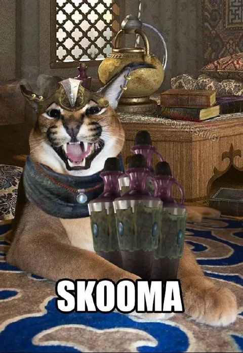Skooma Cat