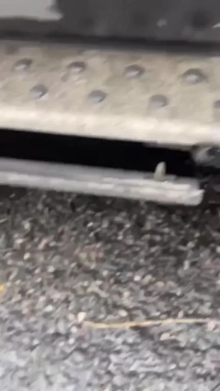 Машина с осами и хаосом