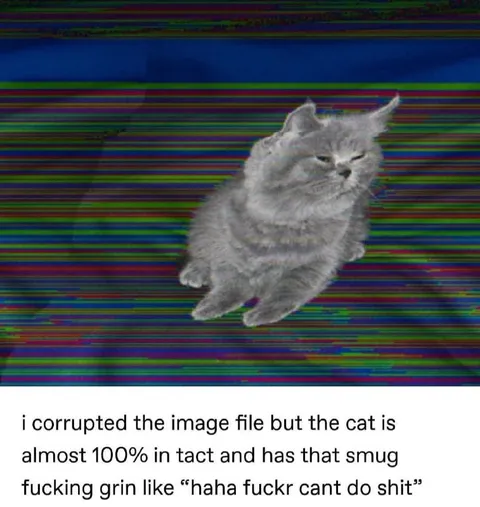 Corrupted Image Smug Cat