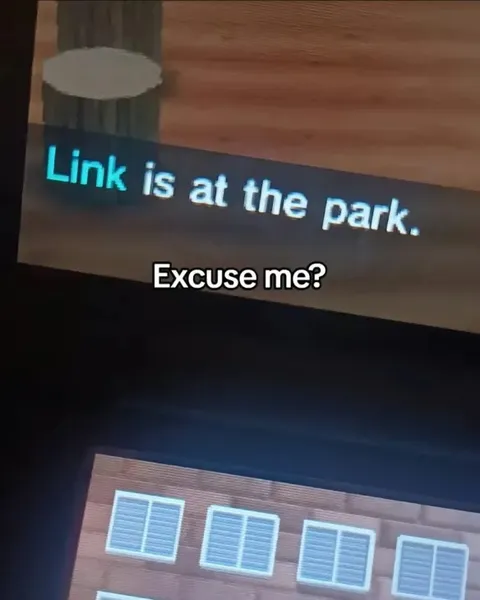 Link Is at the Park
