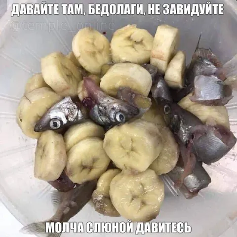 Бедолаги, не завидуйте