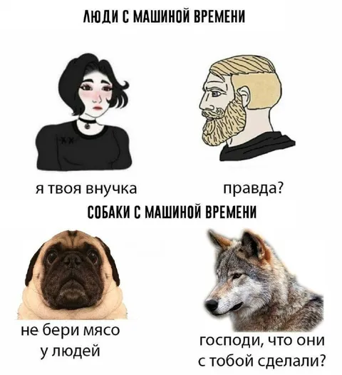 Люди и собаки с машиной времени