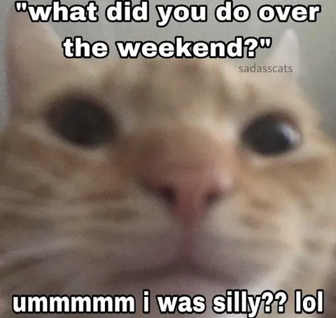 Silly Weekend Cat