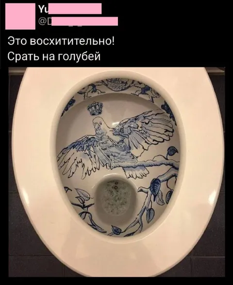 Срать на голубей