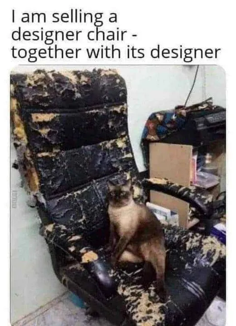 Designer Chair Comes With Designer