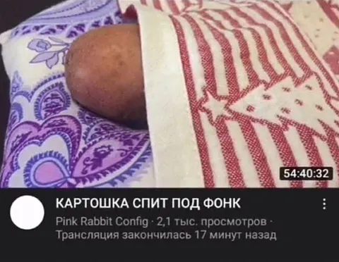 Картошка спит под фонк