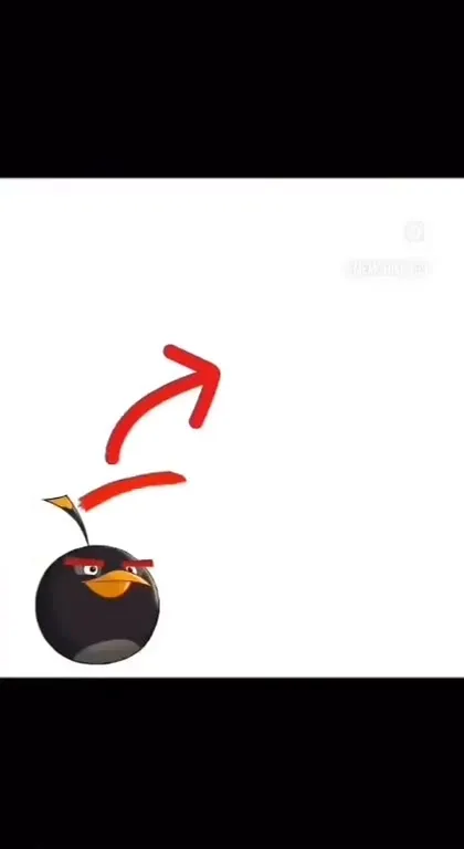 Angry Bird Clears the Level