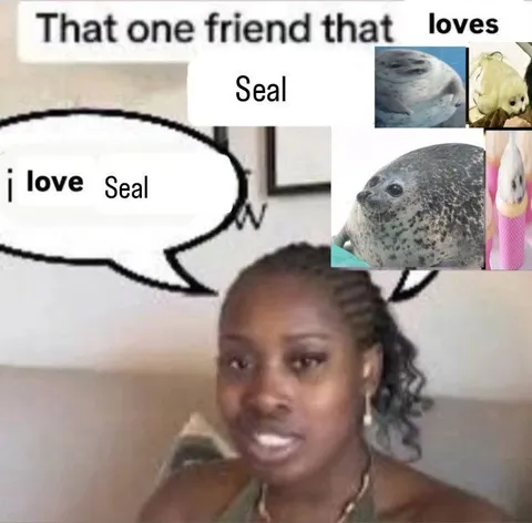 That One Friend Who Loves Seals