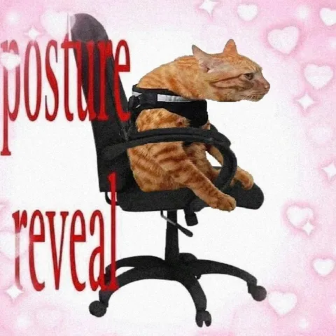 Cat Posture Reveal