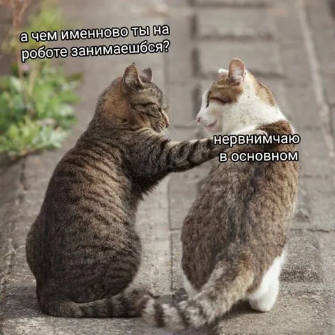Чем занимаешься на работе