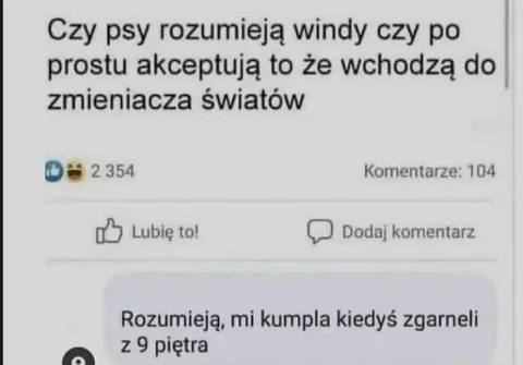 Psy i zmieniacz światów