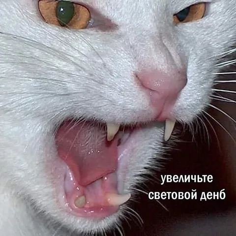 Увеличьте световой день