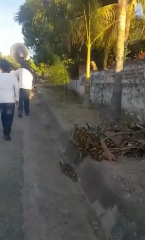 Músico con una tuba enorme
