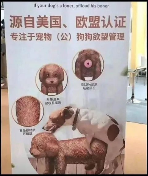 狗狗欲望管理玩具广告
