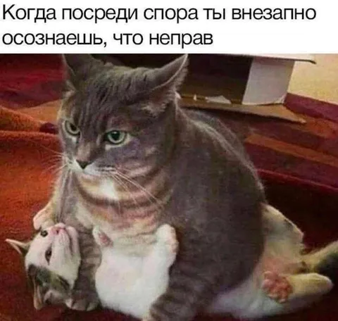 Когда понял, что неправ