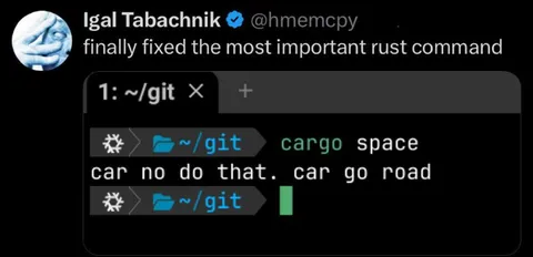 The Most Important Rust Command