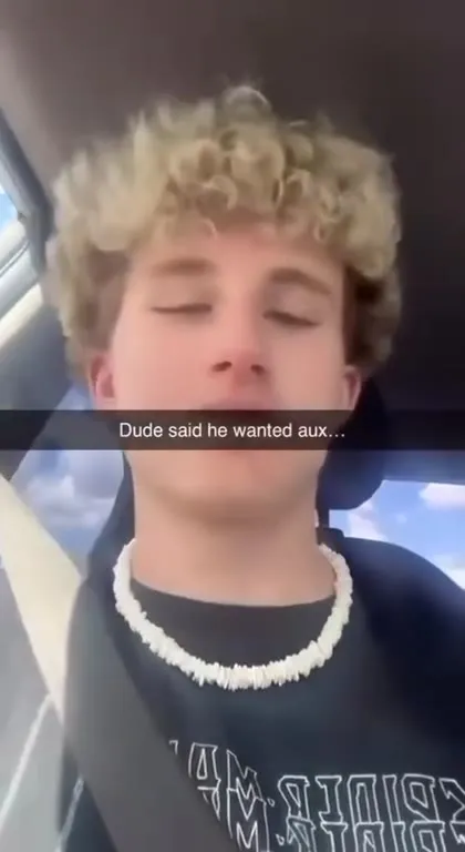 Dude Said He Wanted Aux