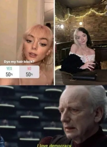 I Love Democracy Hair Poll