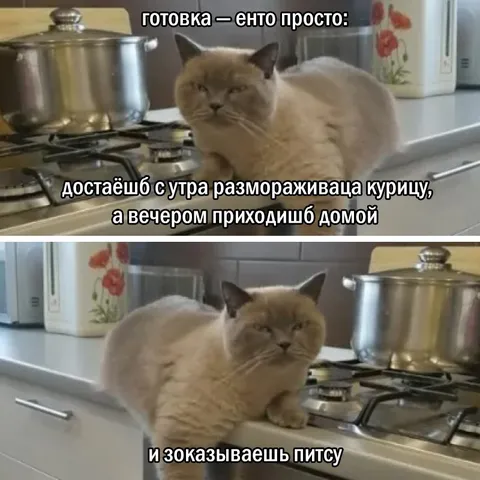 Размораживал курицу, заказал пиццу