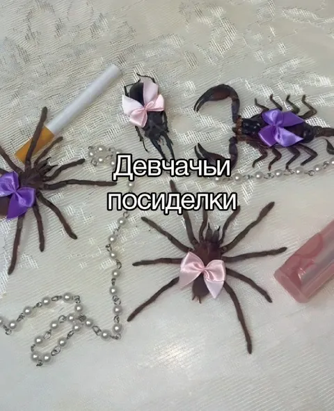 Девчачьи посиделки с пауками