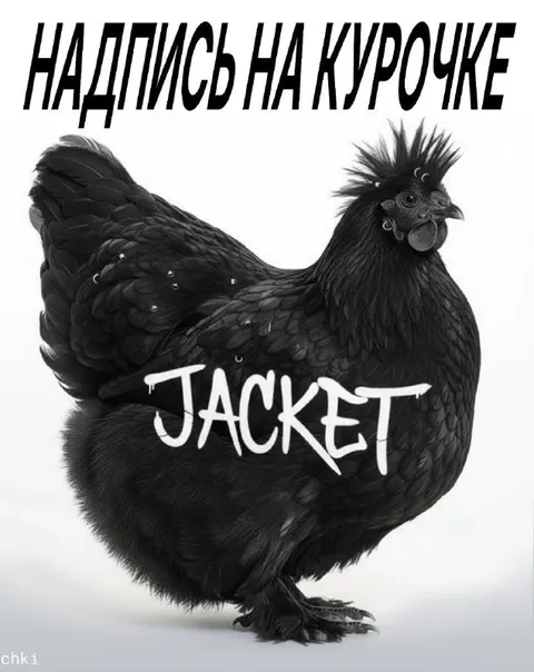 Надпись на курочке Jacket