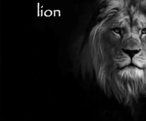 Lion in Black and White