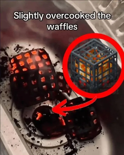 Slightly Overcooked Waffles