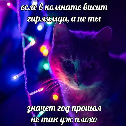 Гирлянда висит — год прошёл