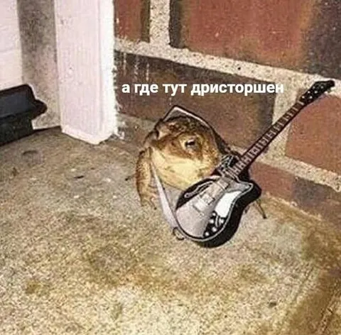 А где тут дристоршен
