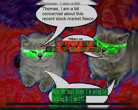 Cats Discuss the Stock Market