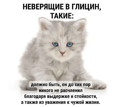 Кот не верит в глицин