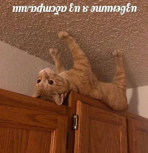 Everything Is Upside Down