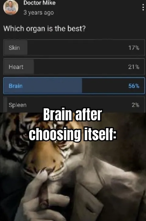 Brain Choosing Itself