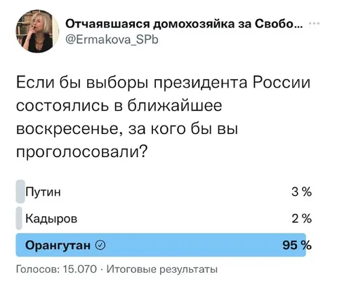 Орангутан на выборах президента