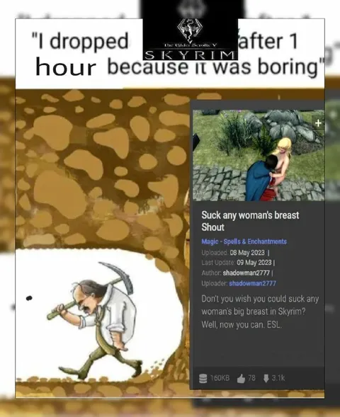 Dropped Skyrim After One Hour