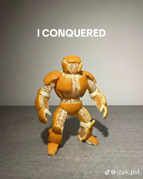 I Conquered Orange Peel Warrior