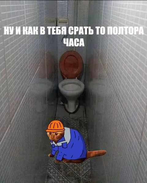 Полтора часа в туалете