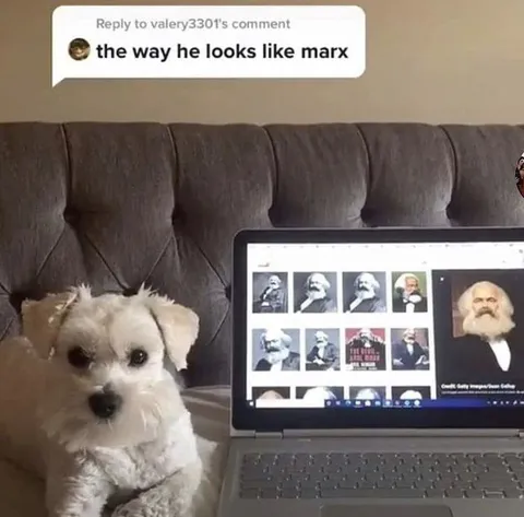 Dog Looks Like Karl Marx